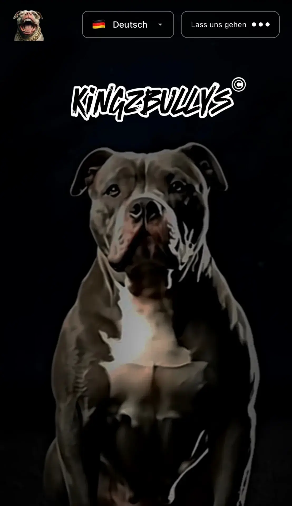Premium Branding-Website Kingz Bullys – dunkles, hochwertiges Webdesign für einen exklusiven American-Bully-Züchter, mehrsprachig DE/EN
